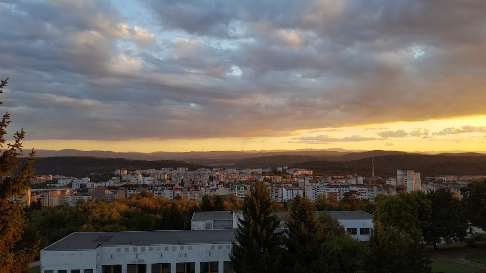 National Military University "Vasil Levski"
