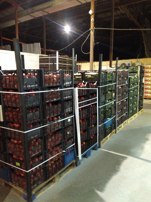 Vegetable Market