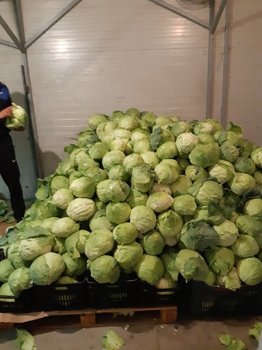 Vegetable Market