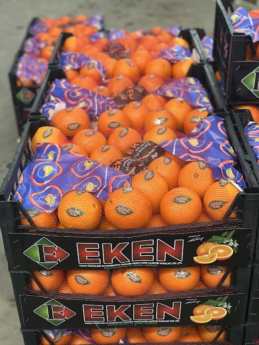 fruit Correct