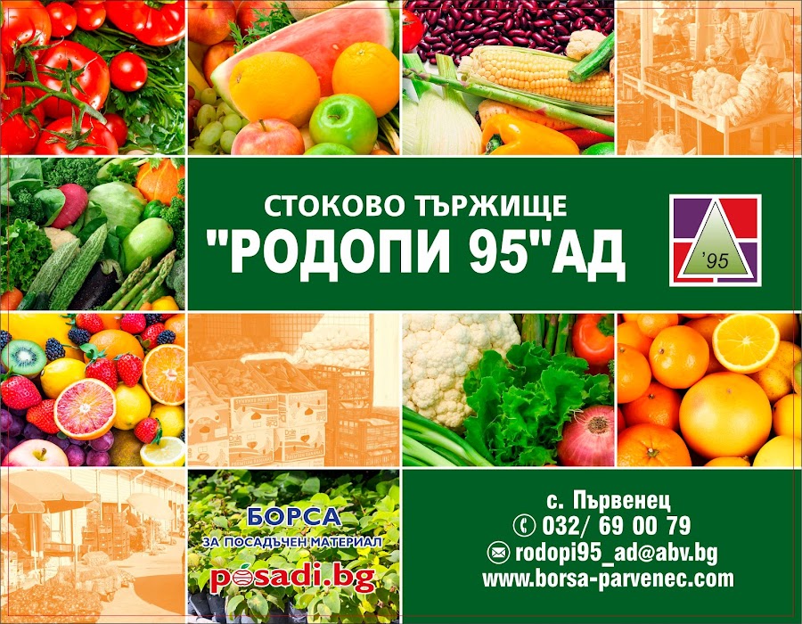 Market place Rodopi 95