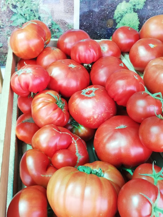 Fruit and Vegetable Store