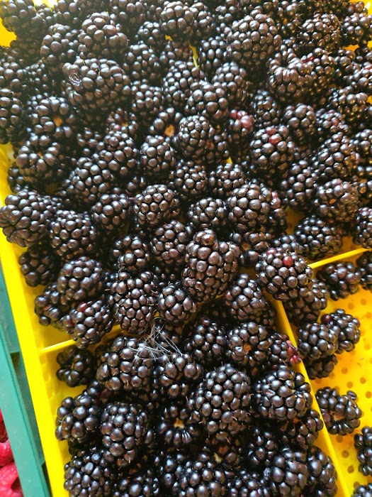 Плод и зеленчук "Драгалевци" (Fruitstore.Dragalevtsi)
