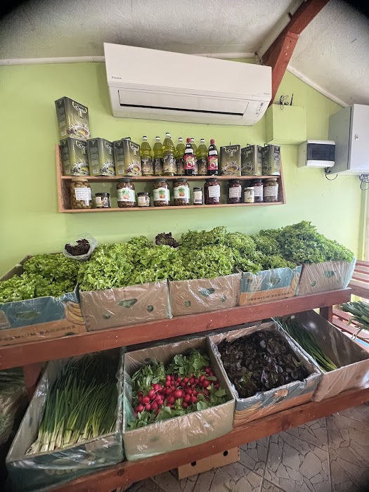 Fruits and Vegetables