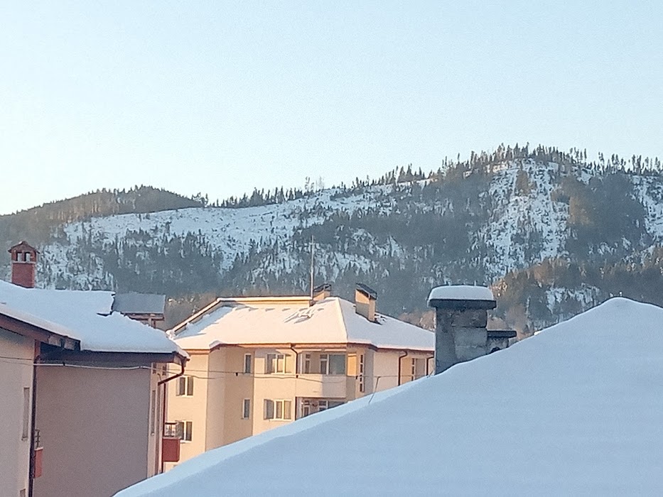Hotel Royal