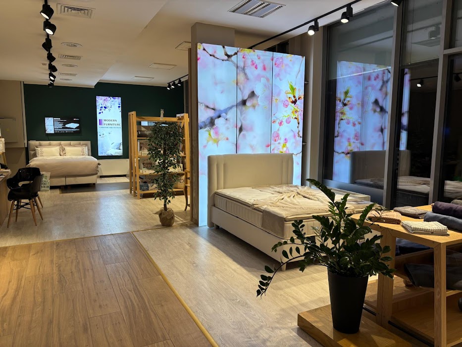 Modern Furniture