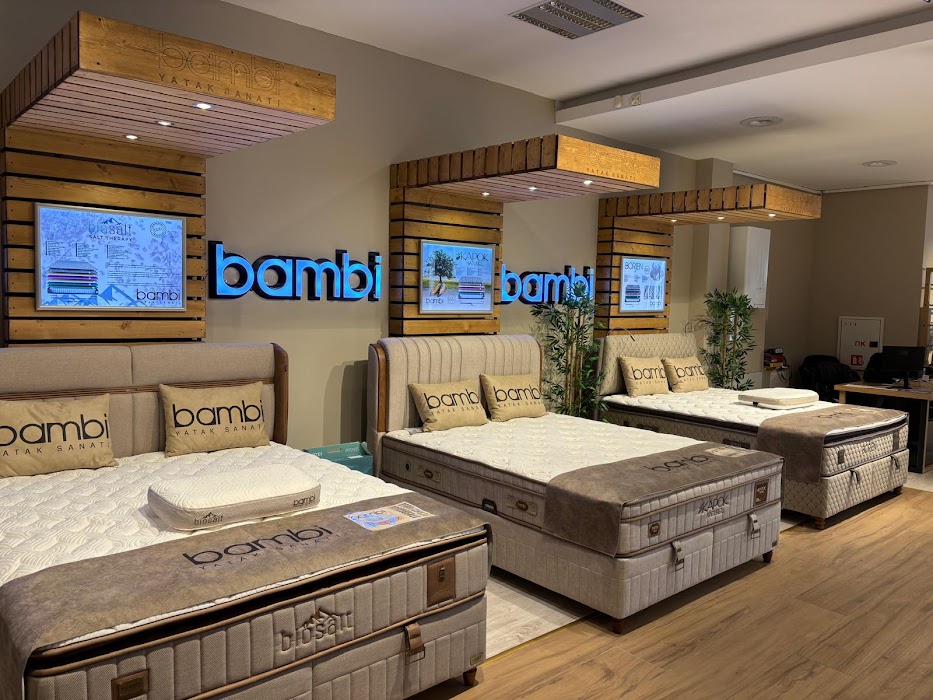 Modern Furniture
