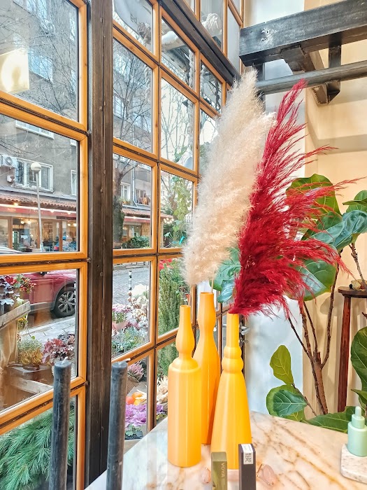 shop Shipka