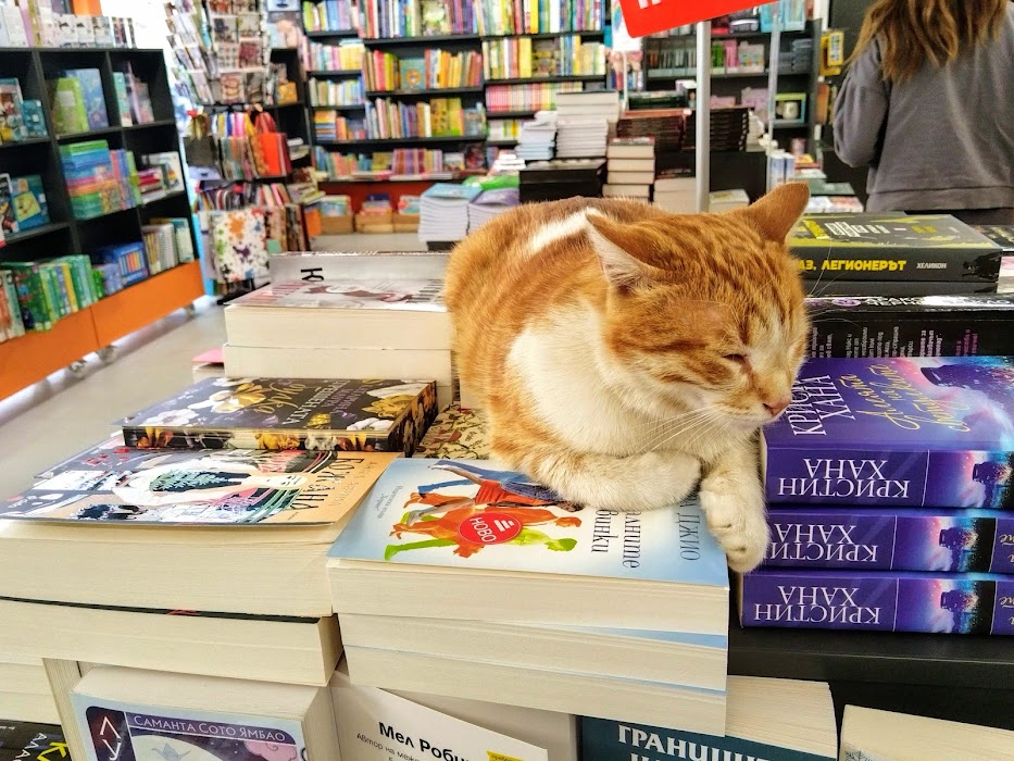 “Helikon” bookstore