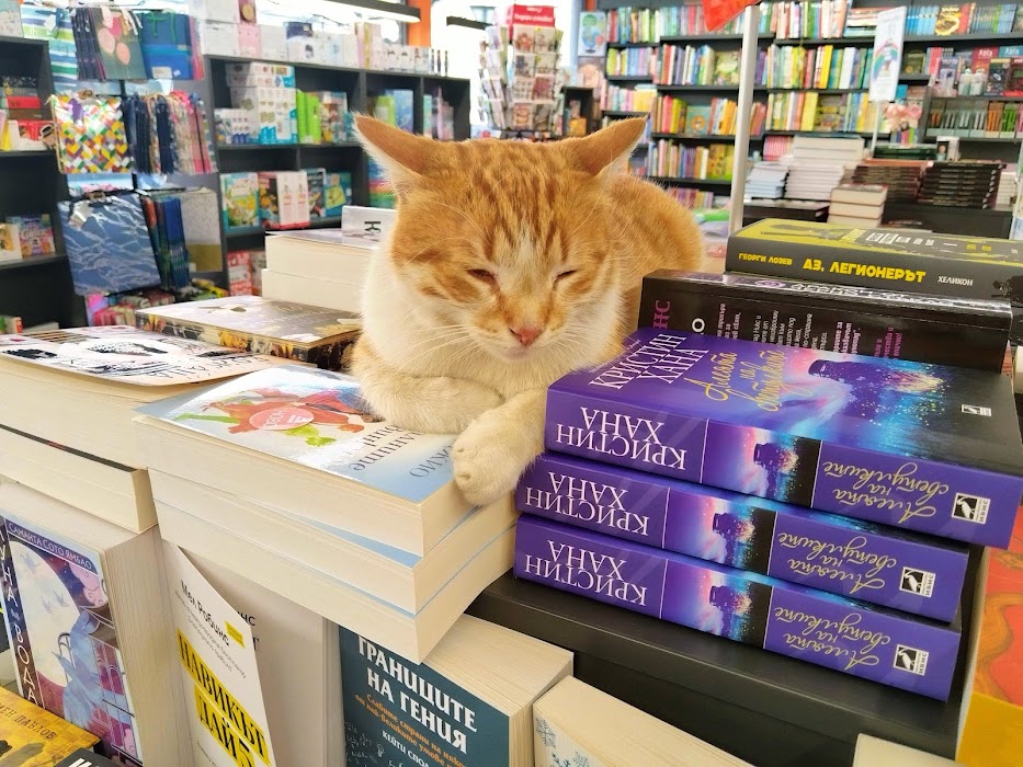 “Helikon” bookstore