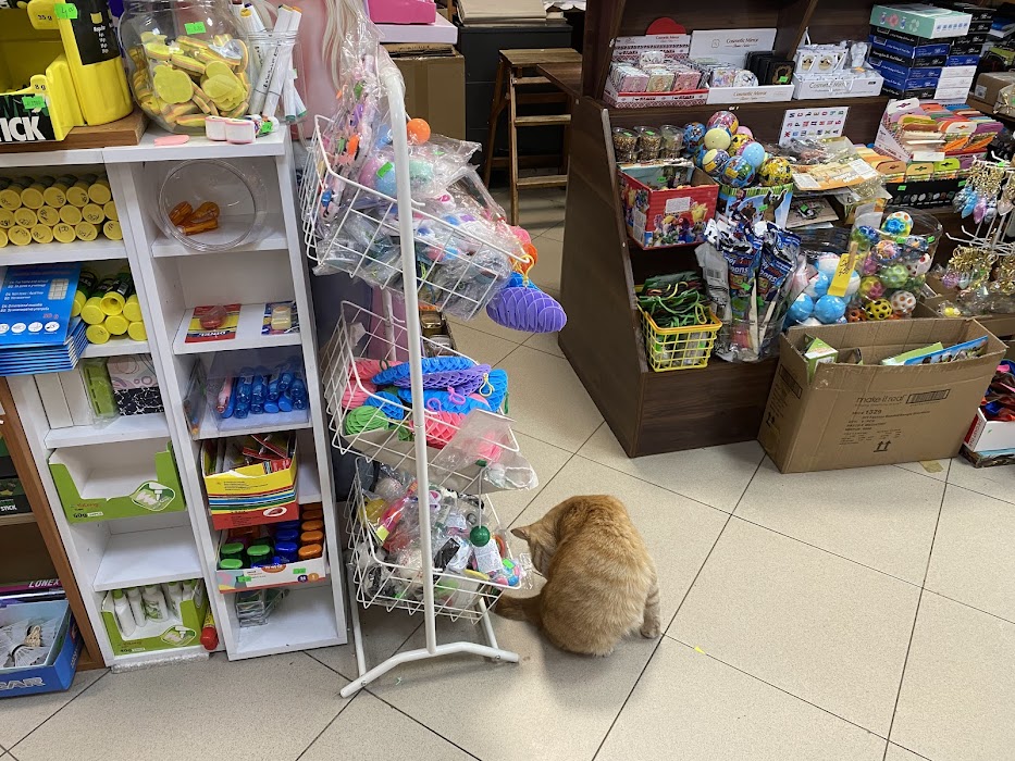 bookstore Bookpoint