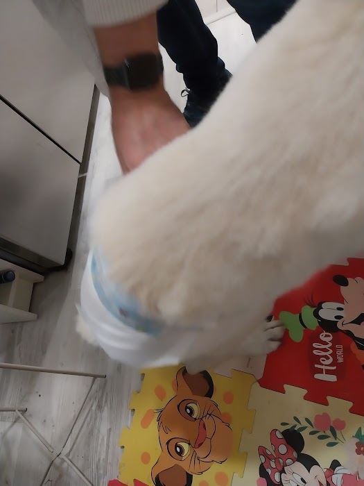 Petmall