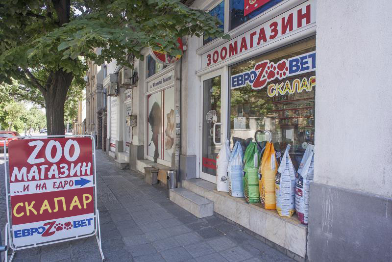 Зоомагазин Еврозоовет Скалар
