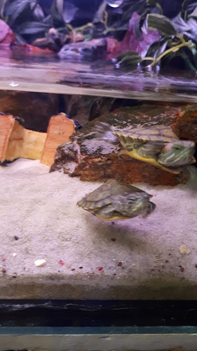 Aquazoo center