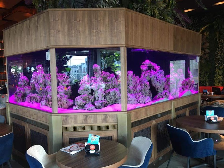 Aquatica Ltd.