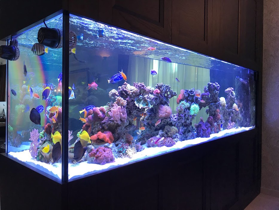 Aquatica Ltd.
