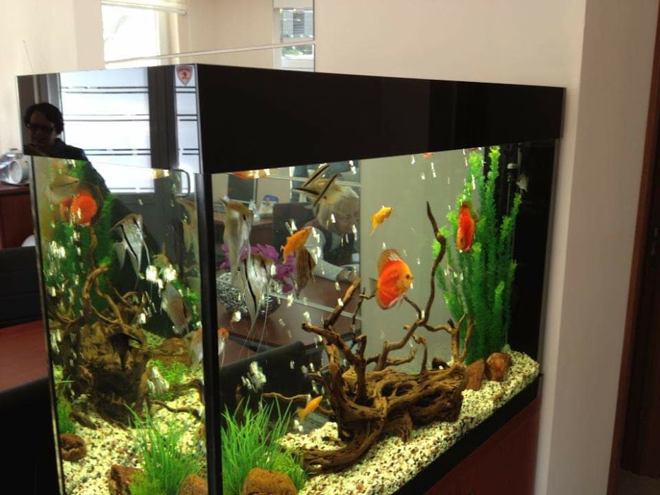 Aquatica Ltd.