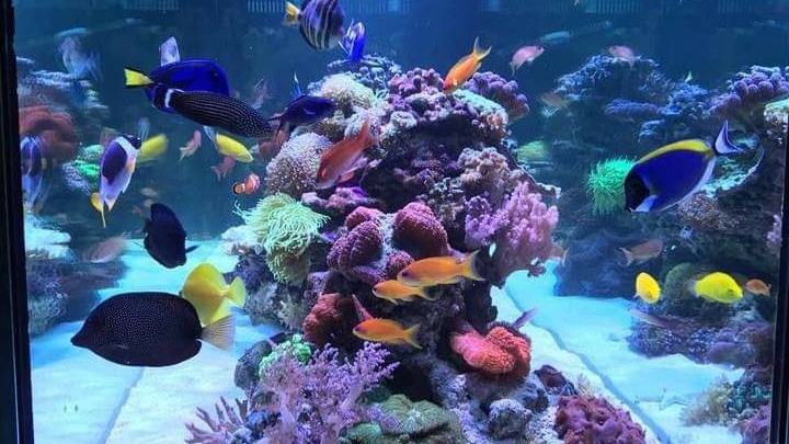 Aquatica Ltd.