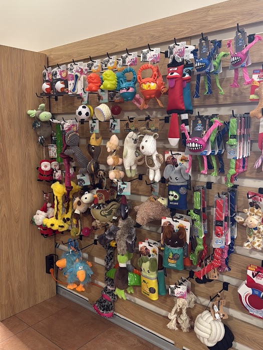 Different Pet Shop and Grooming/ Различният зоомагазин и груминг
