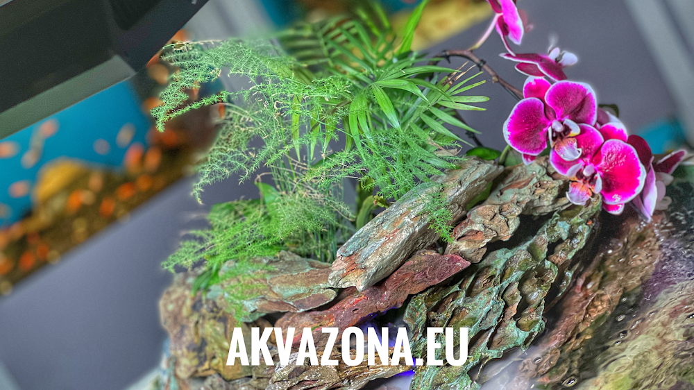 Аква зона 2 ЕООД
