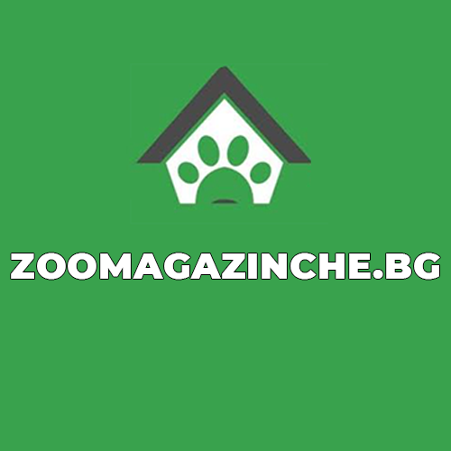 Онлайн Зоомагазин | ZOOMAGAZINCHE