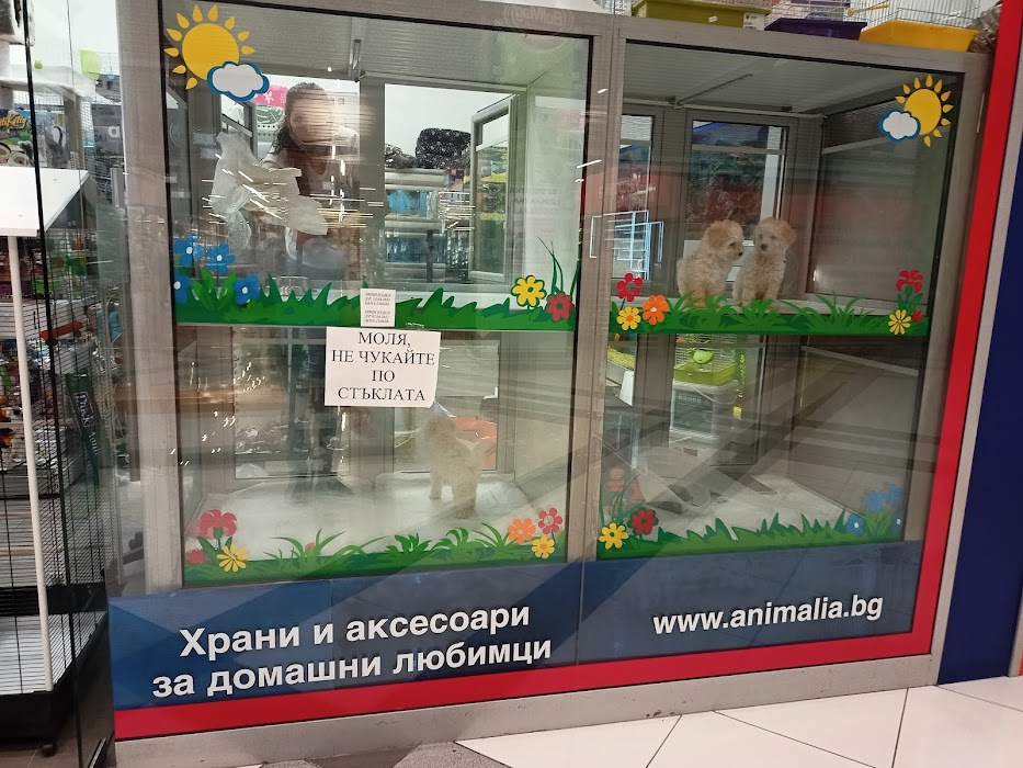 Animalia Ltd