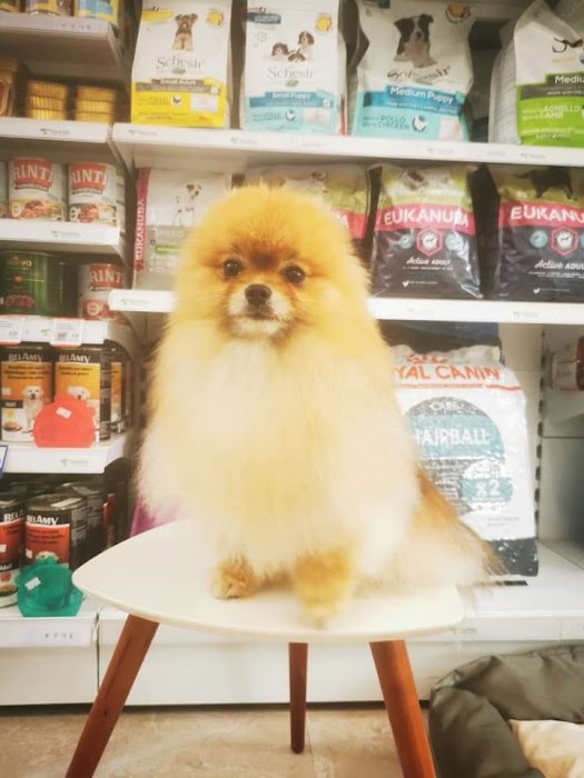 VEOPETS Зоомагазин