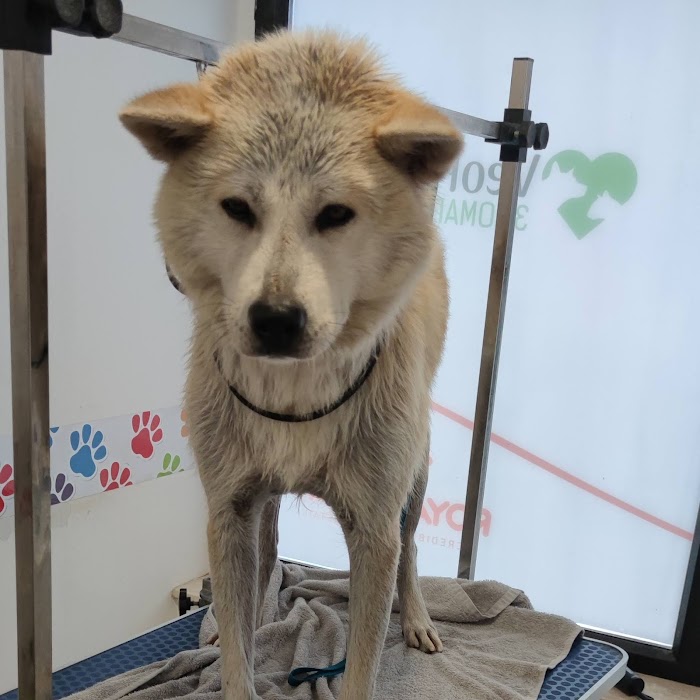 VEOPETS Зоомагазин