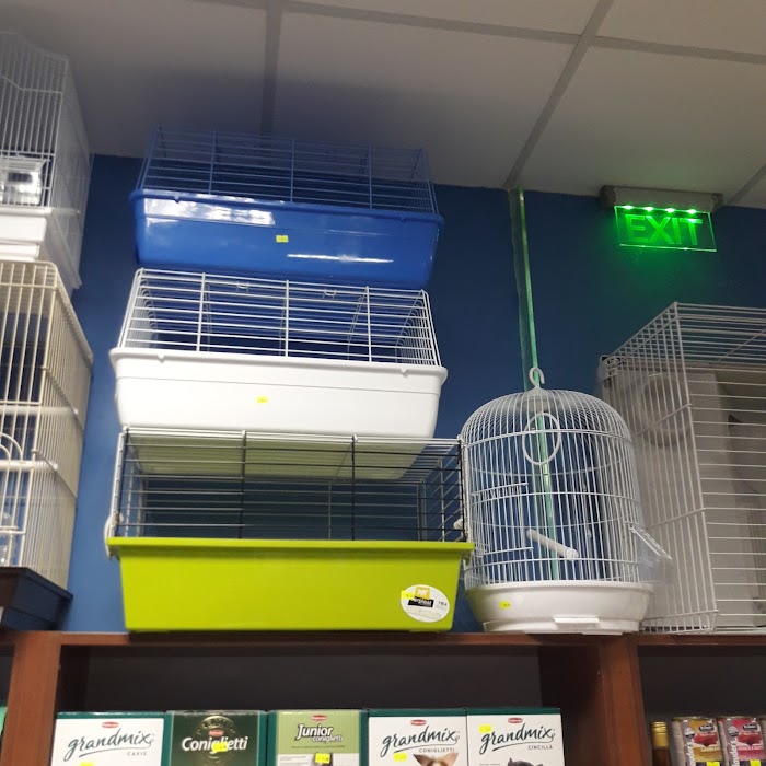Pet Shop Animal