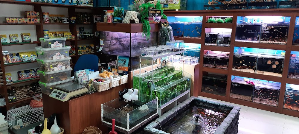 Pet Shop Animal