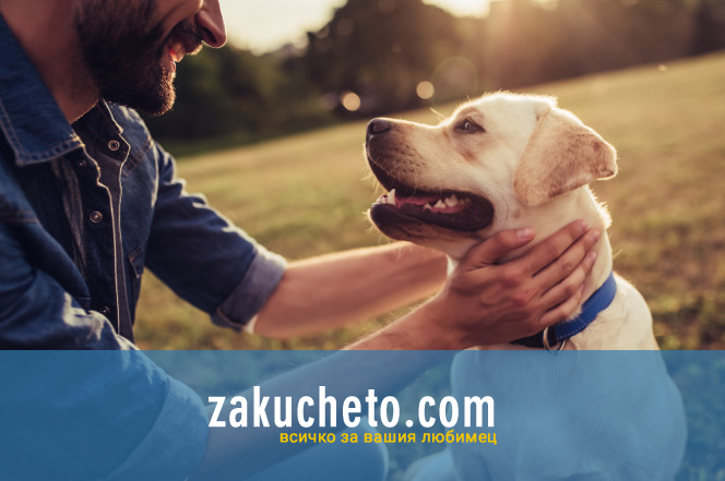 Zakucheto.com Pet shop