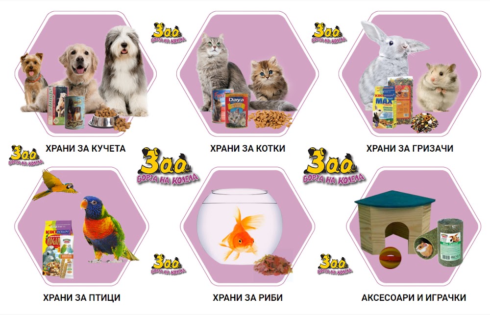 ЗОО ГРУП БГ - КУЧЕШКА И КОТЕШКА ХРАНА НА ЕДРО