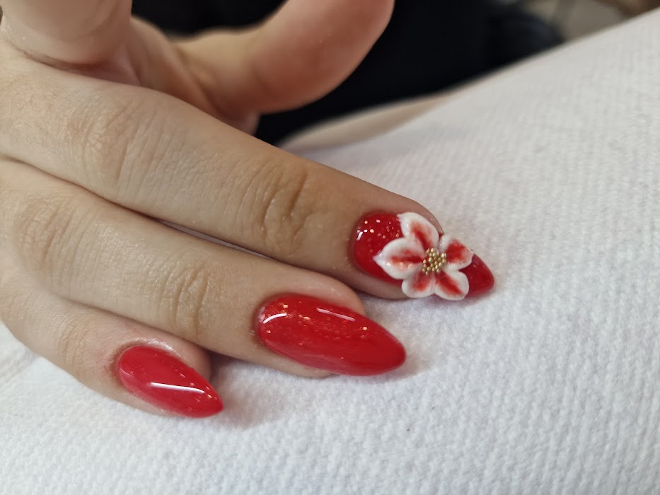 Beauty Studio "Color"