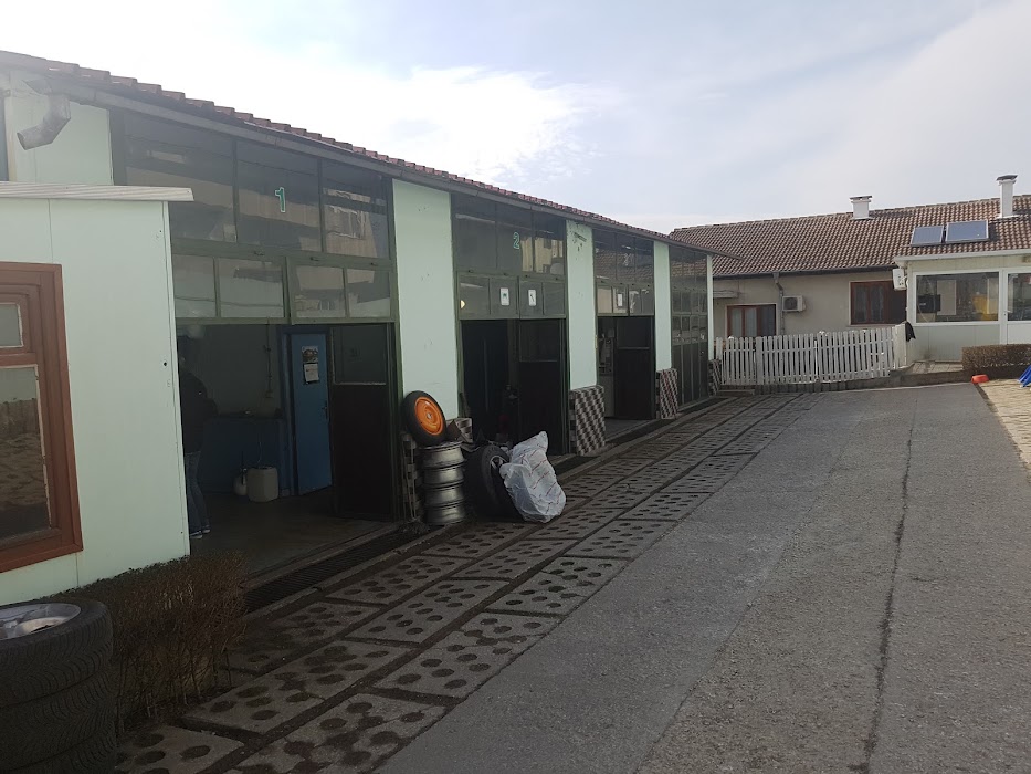 Auto Balinov