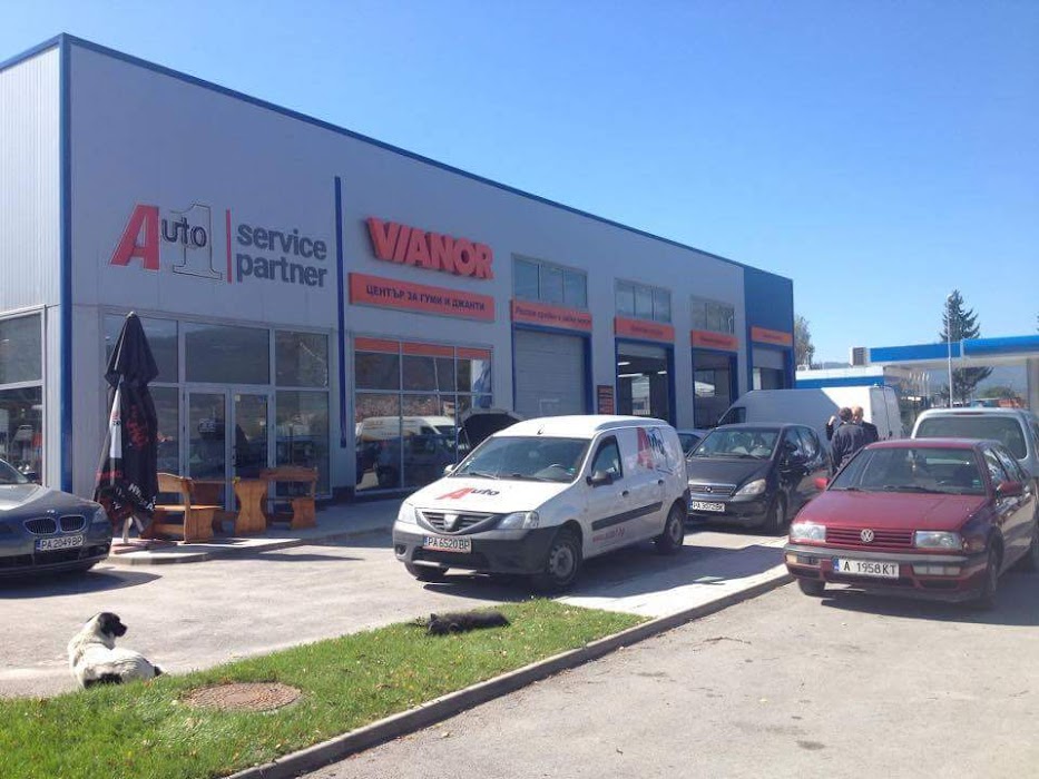 DAMOVAUTO LTD - VIANOR