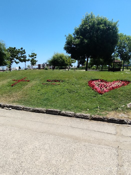 Obzor