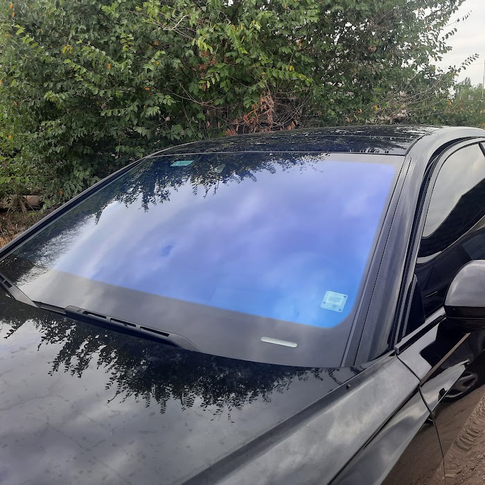 DG TINT