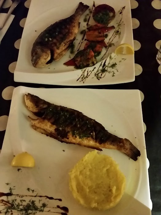 Chillout Cafe