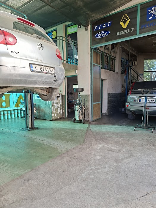 Auto pavlovi