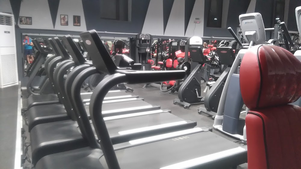 Fitness Flex